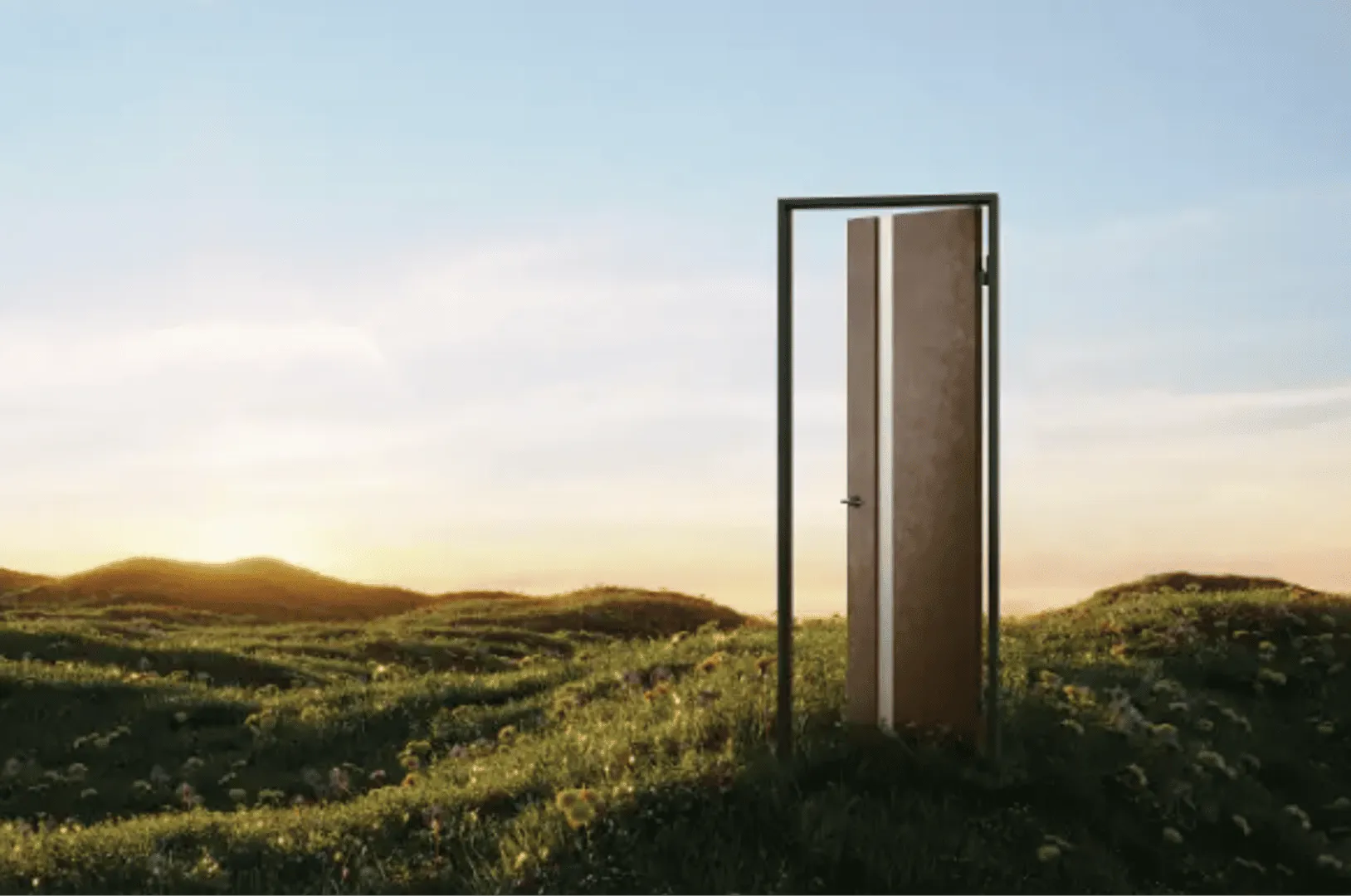 カナエルリニューアル カナエルリニューアル